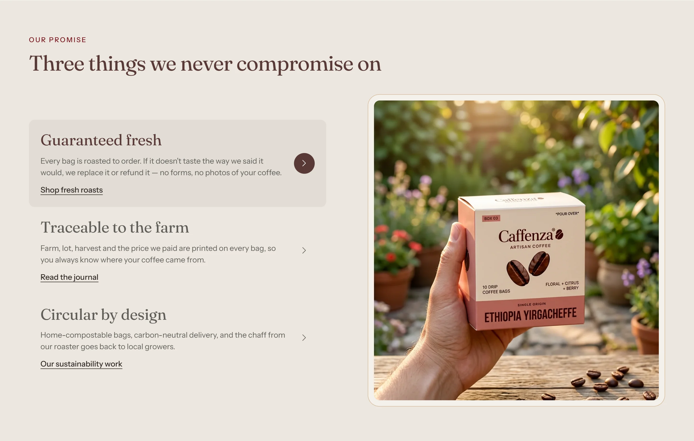 The Image with hover section on desktop.