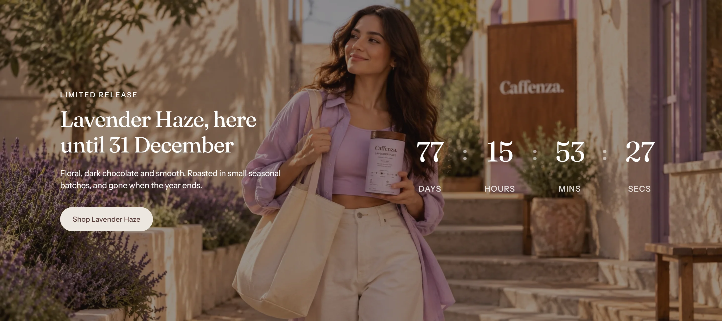 The Promo banner section on desktop.