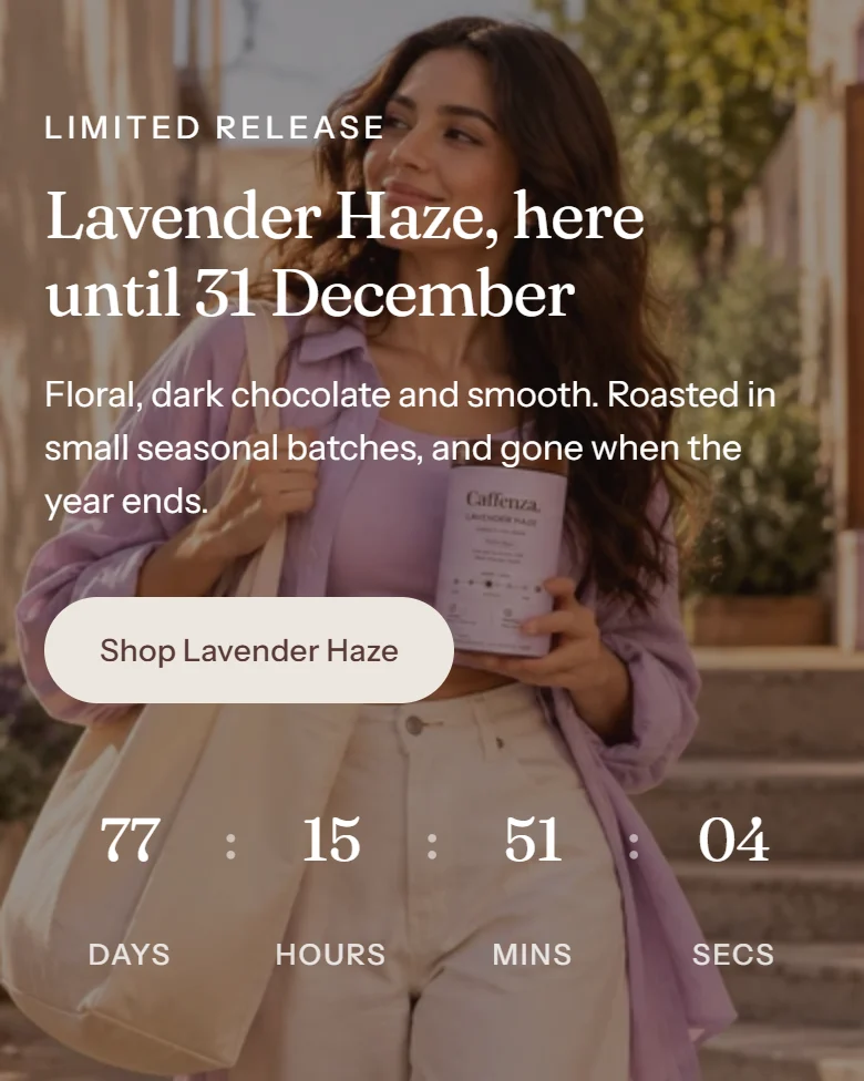 The Promo banner section on a phone.