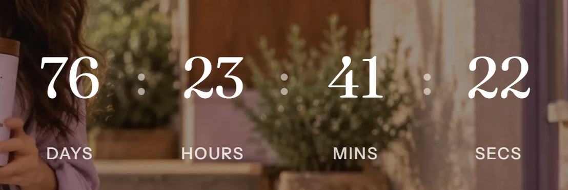 The countdown timer.