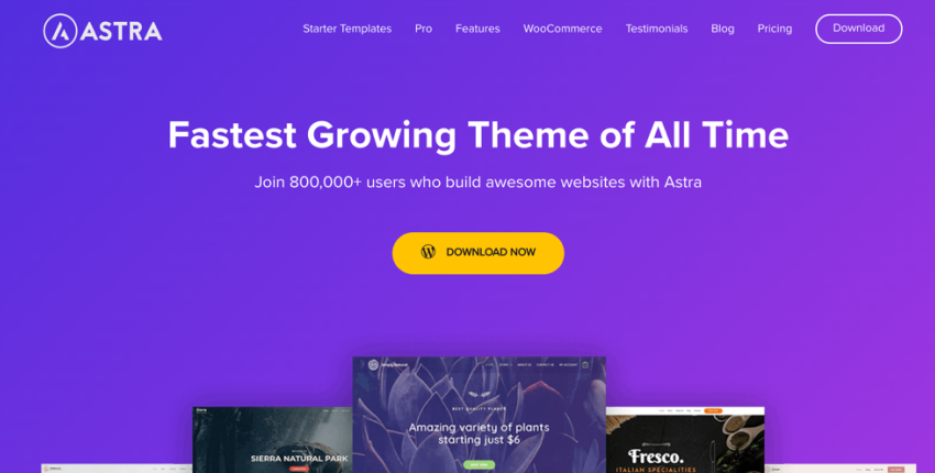 Astra - best wordpress ecommerce themes