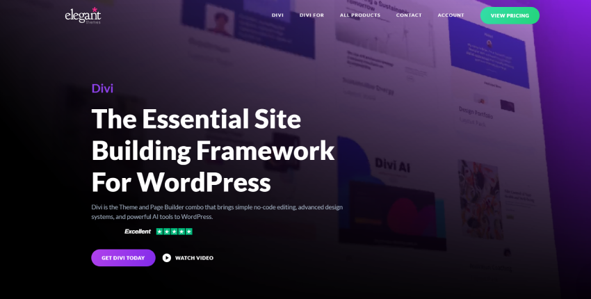 Divi WordPress E-commerce Themes