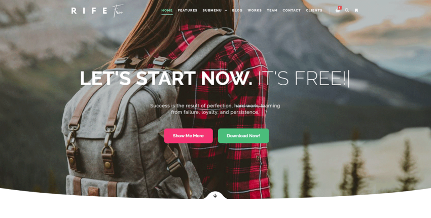 Rife wordpress e-commerce website templates