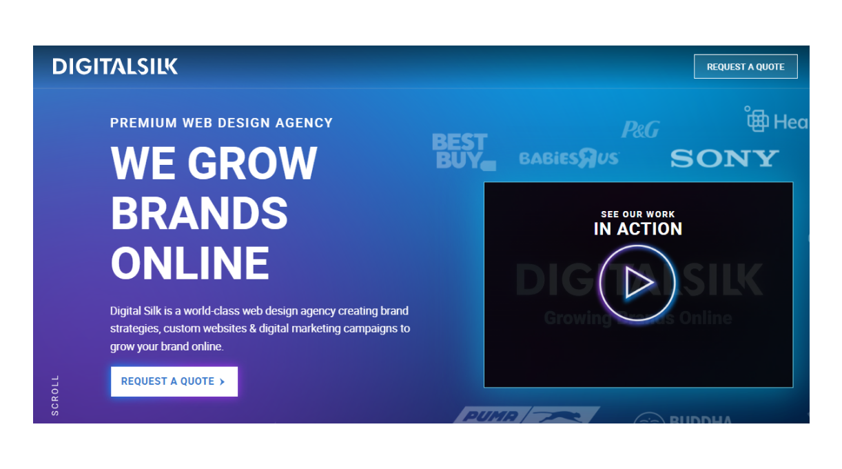 Digital Silk premium web design agency banner showing “We Grow Brands Online” with enterprise brand clients.