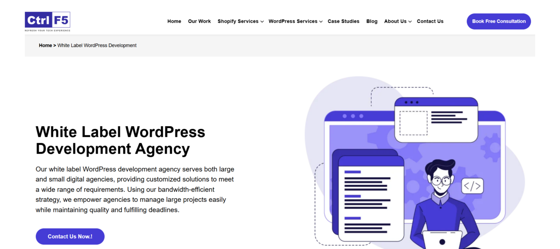 ControlF5 white label WordPress development agency homepage with developer illustration and consultation CTA.