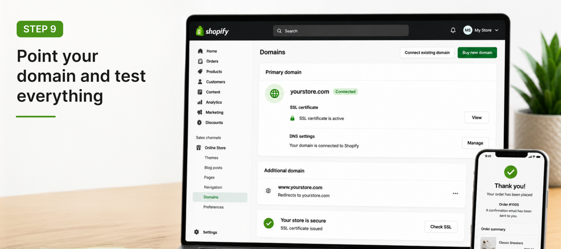 Point your domain and test everything